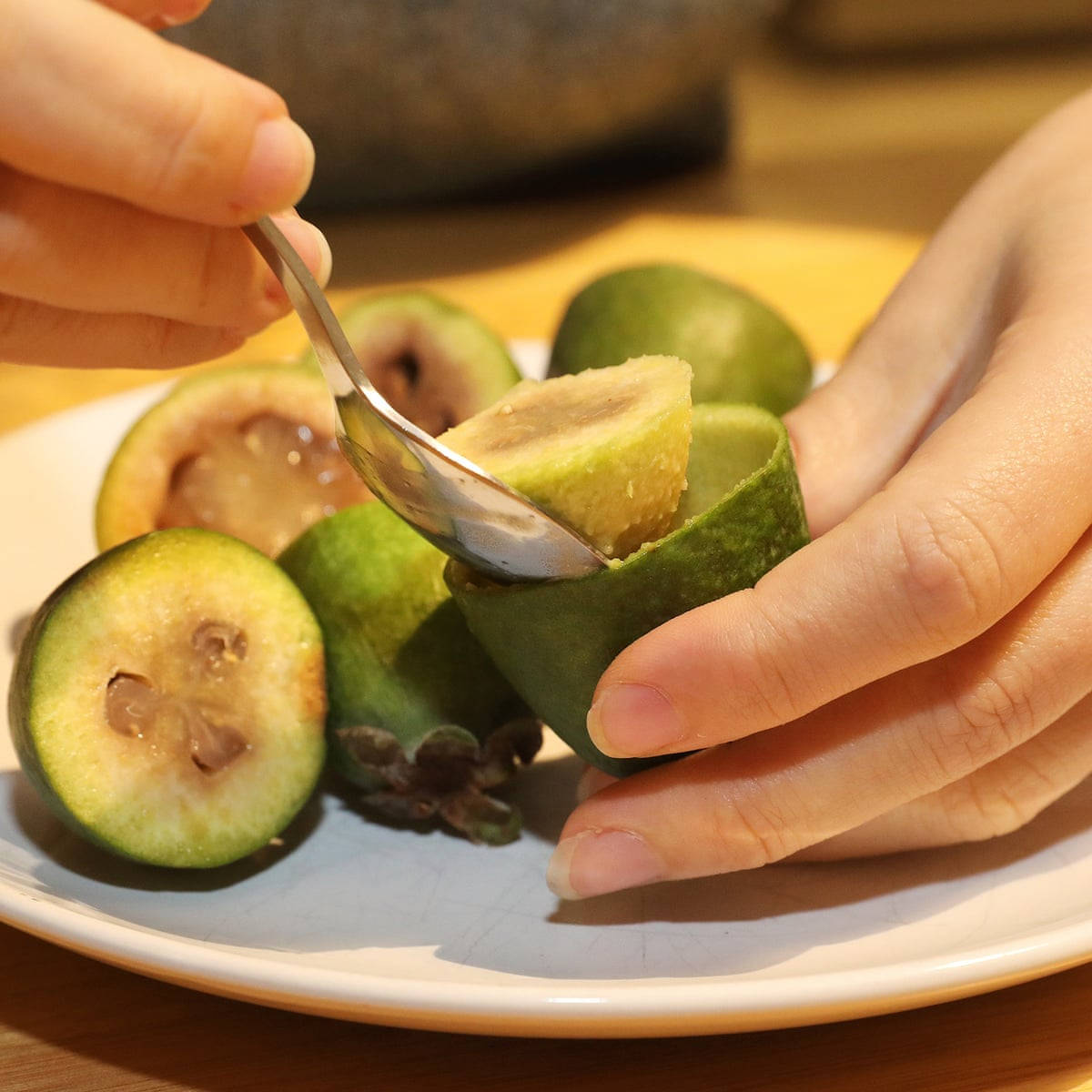 Devouring Fresh Feijoas In New Zealand Wallpaper