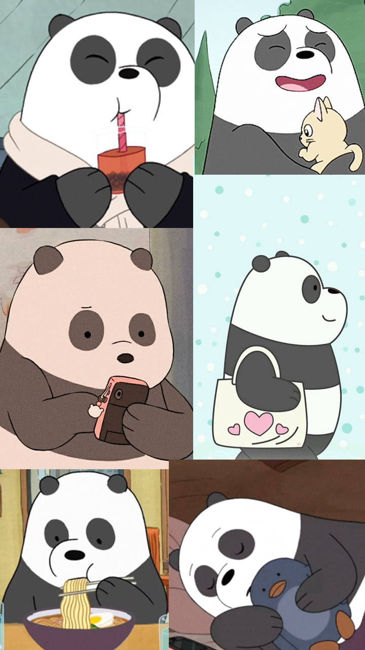 Different Stages Panda We Bare Bears Wallpaper