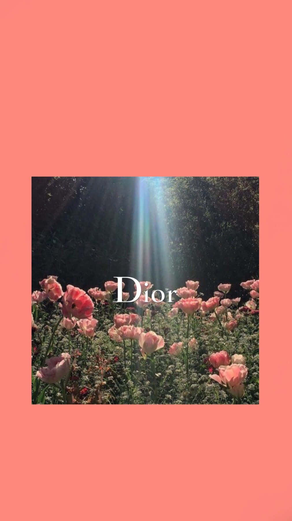 Dior - Ad - Ad - Ad - Ad - Ad - Ad Wallpaper