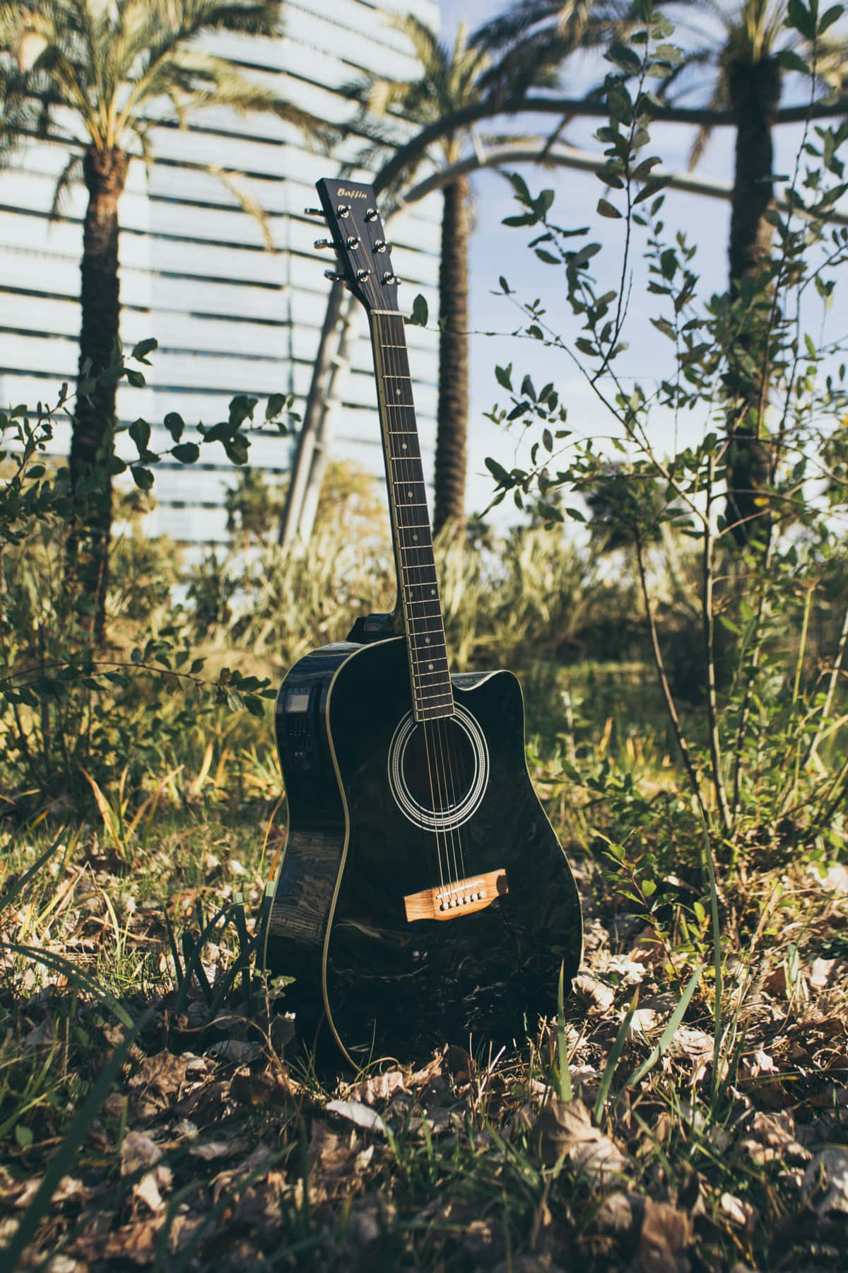 Discover Your Guitar Aesthetic Wallpaper
