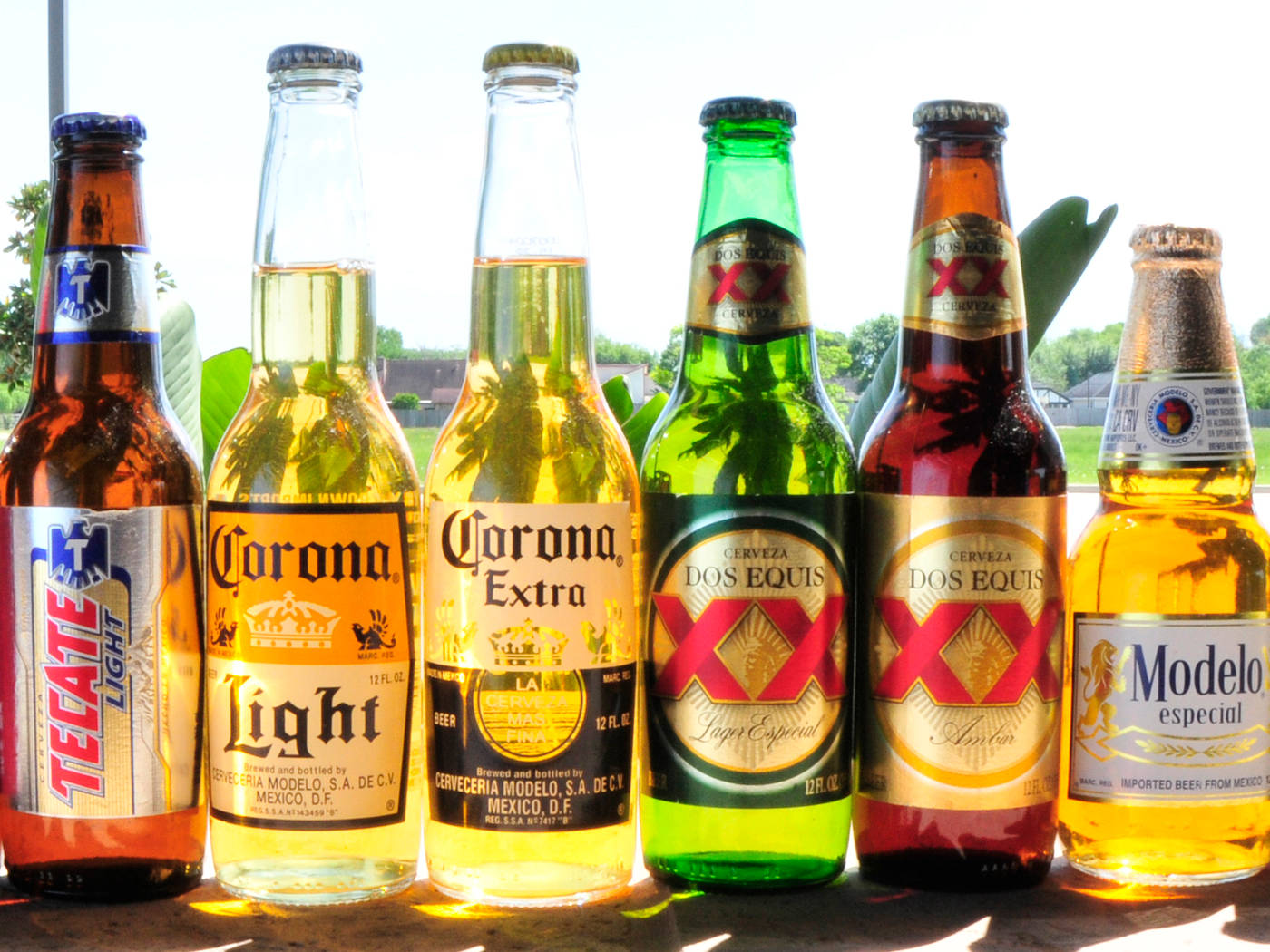 Display Of Modelo Especial Beer Bottles Wallpaper