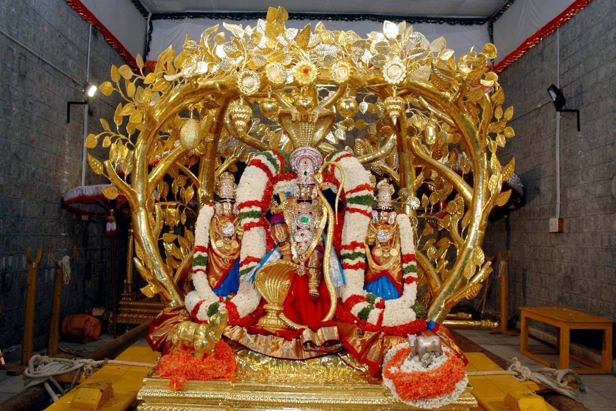 Divine Image Of Lord Venkateswara Swamy On His Golden Chariot Wallpaper