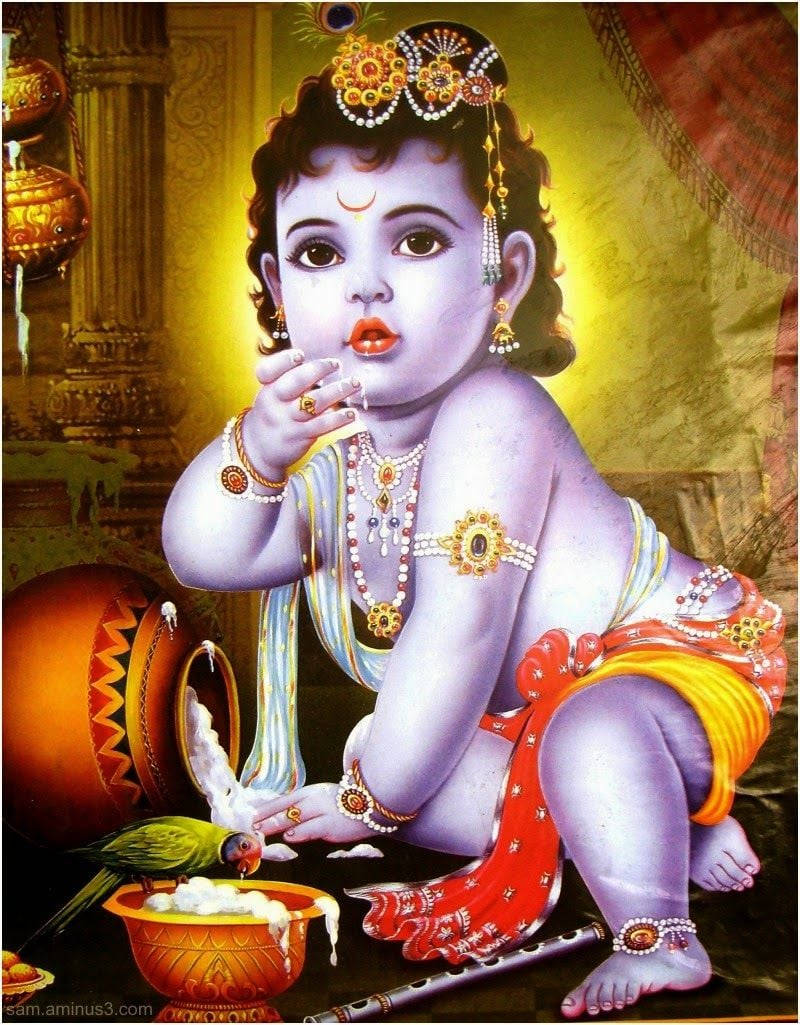 Divine Moment Of Bal Krishna Enjoying Curd With A Parakeet Wallpaper