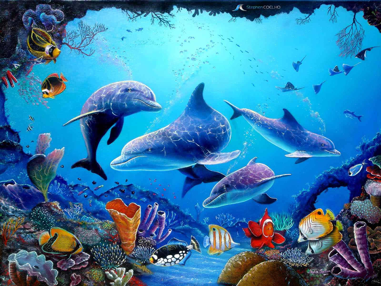 Dolphins And Sea Creatures Wallpaper