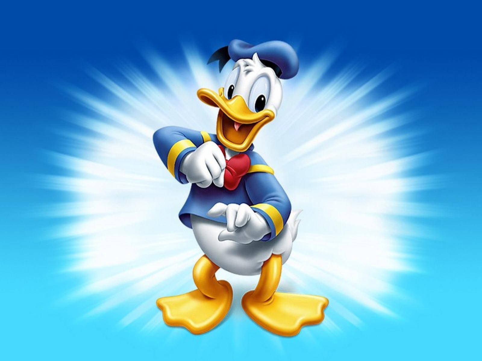 Donald Duck Funny Cartoon Wallpaper