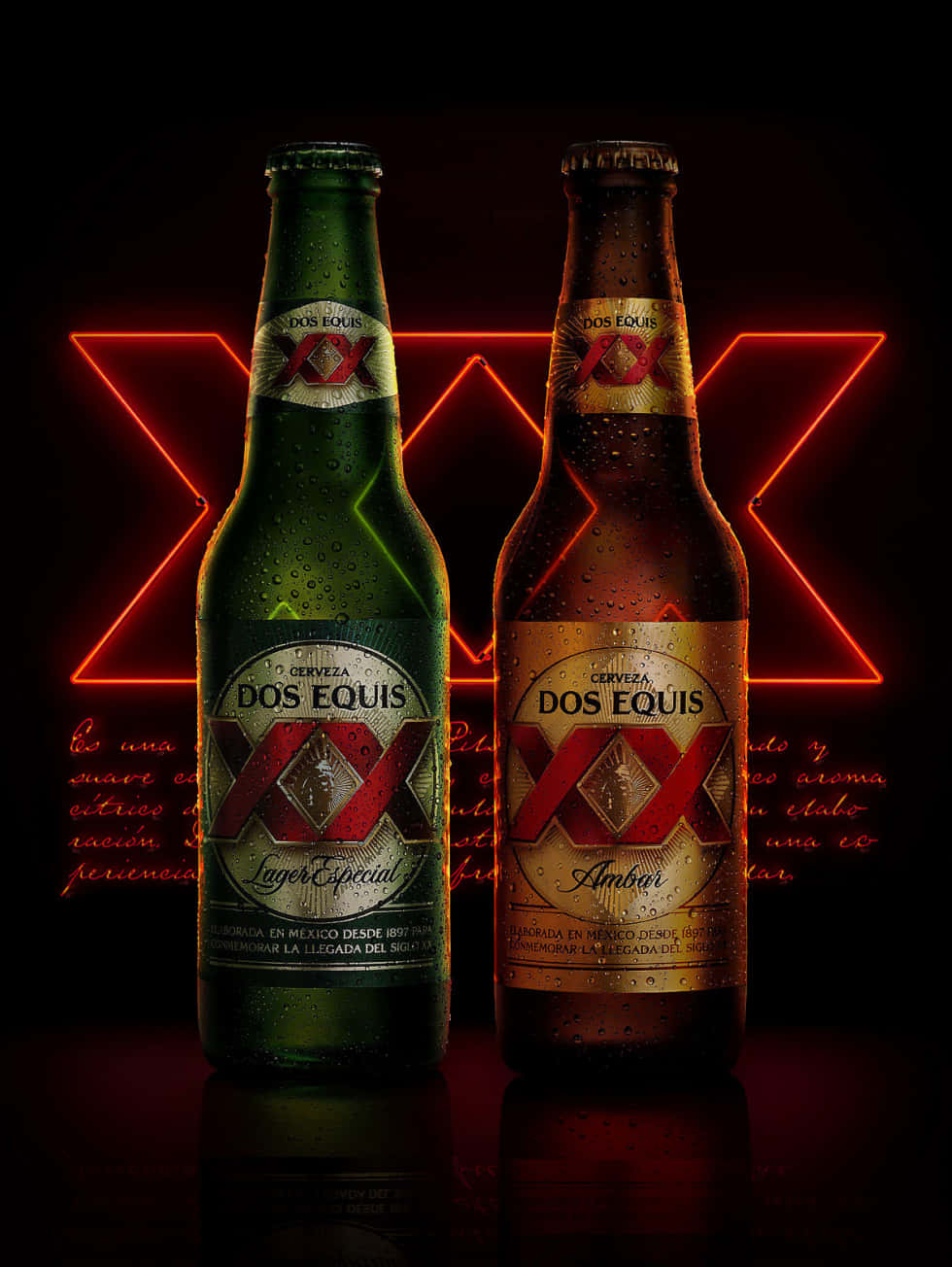 Dos Equis Beer Bottles Neon Light Wallpaper