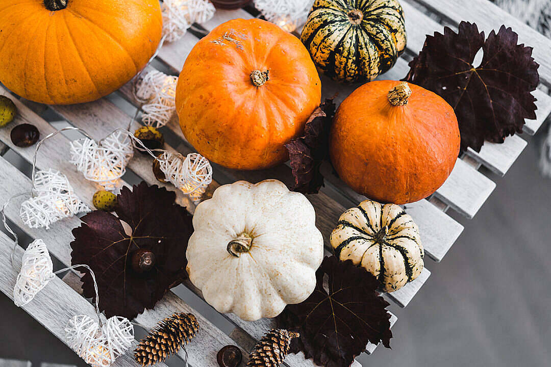 Download Halloween Pumpkin Free Stock Photo Wallpaper