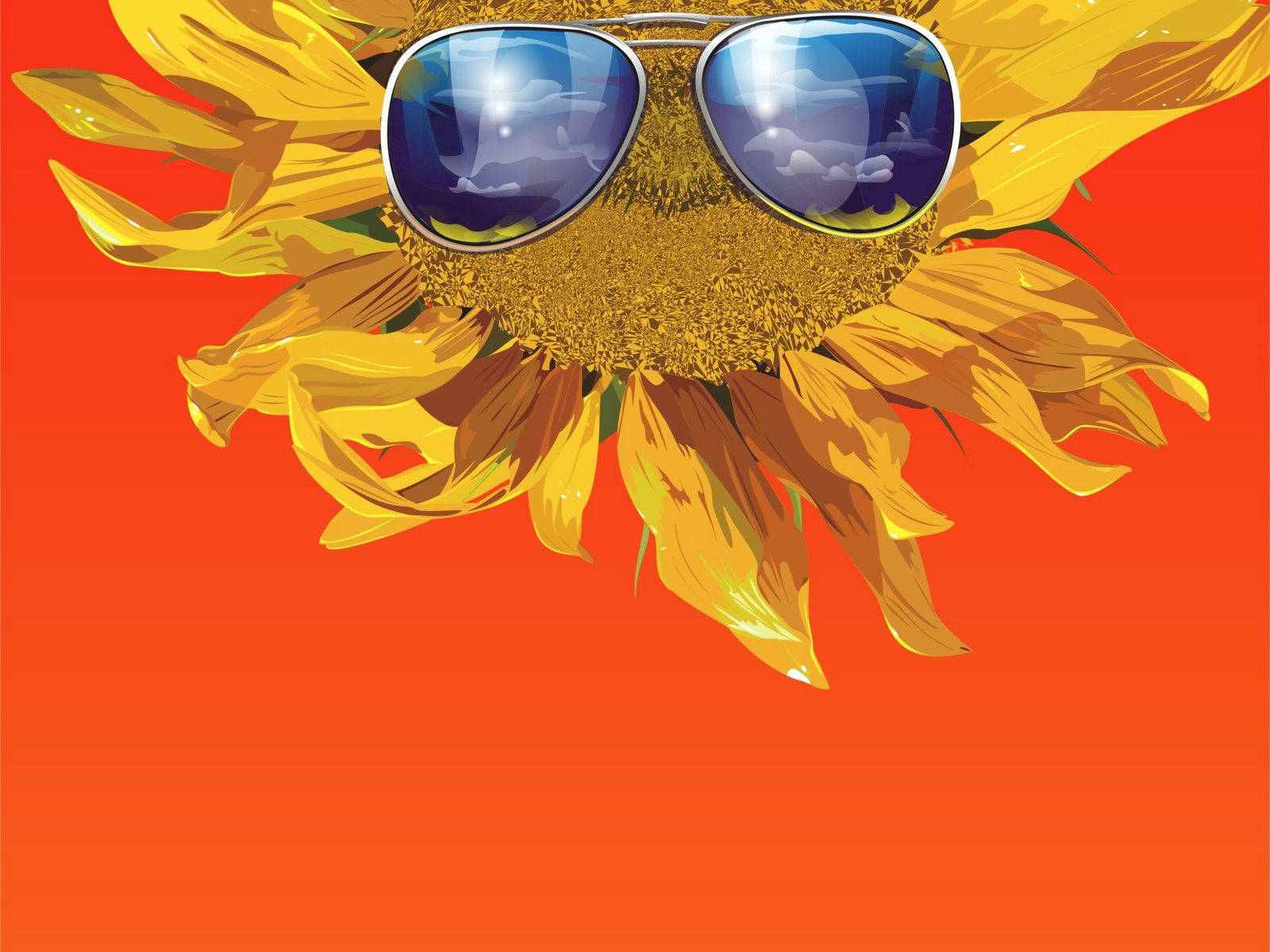 Download Sunflower Wallpaper Wallpaper