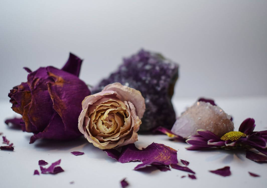 Dried Purple Roses With Crystals Wallpaper