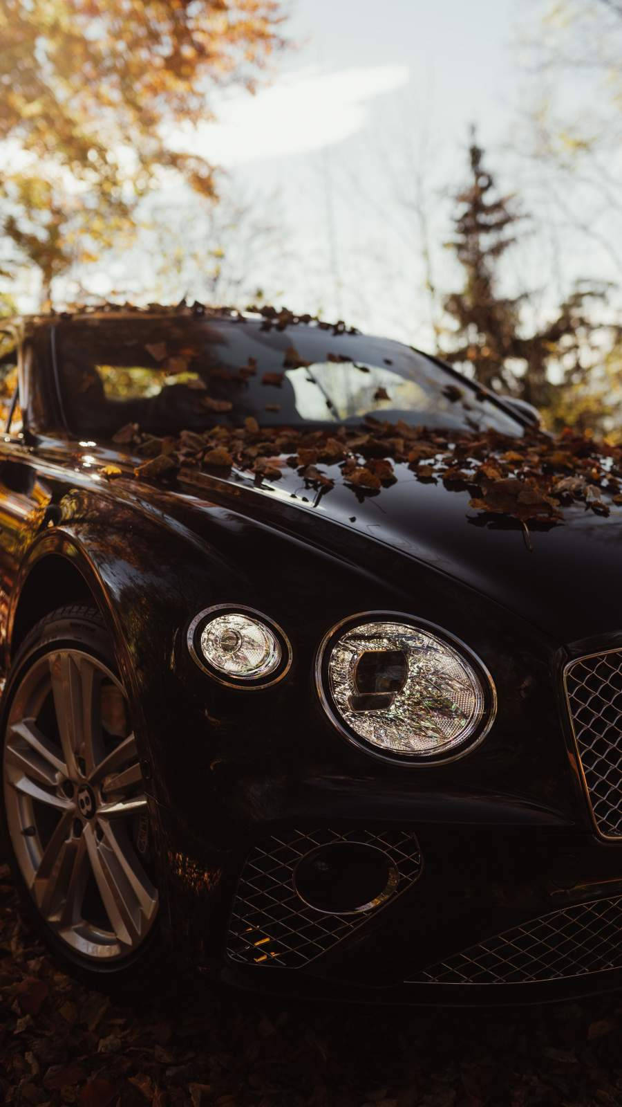 Dry Leaves Over Bentley Car Iphone Wallpaper