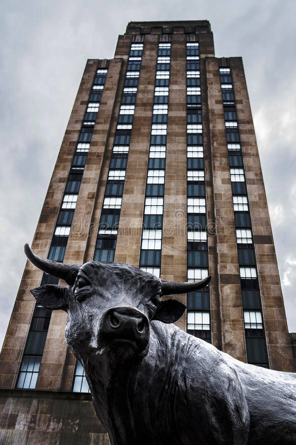 Durham Bull Bronze Sculpture Wallpaper