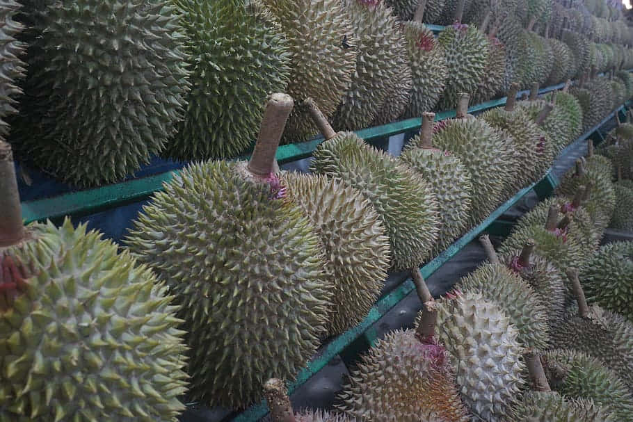 Durian Fruit Displayat Market Wallpaper