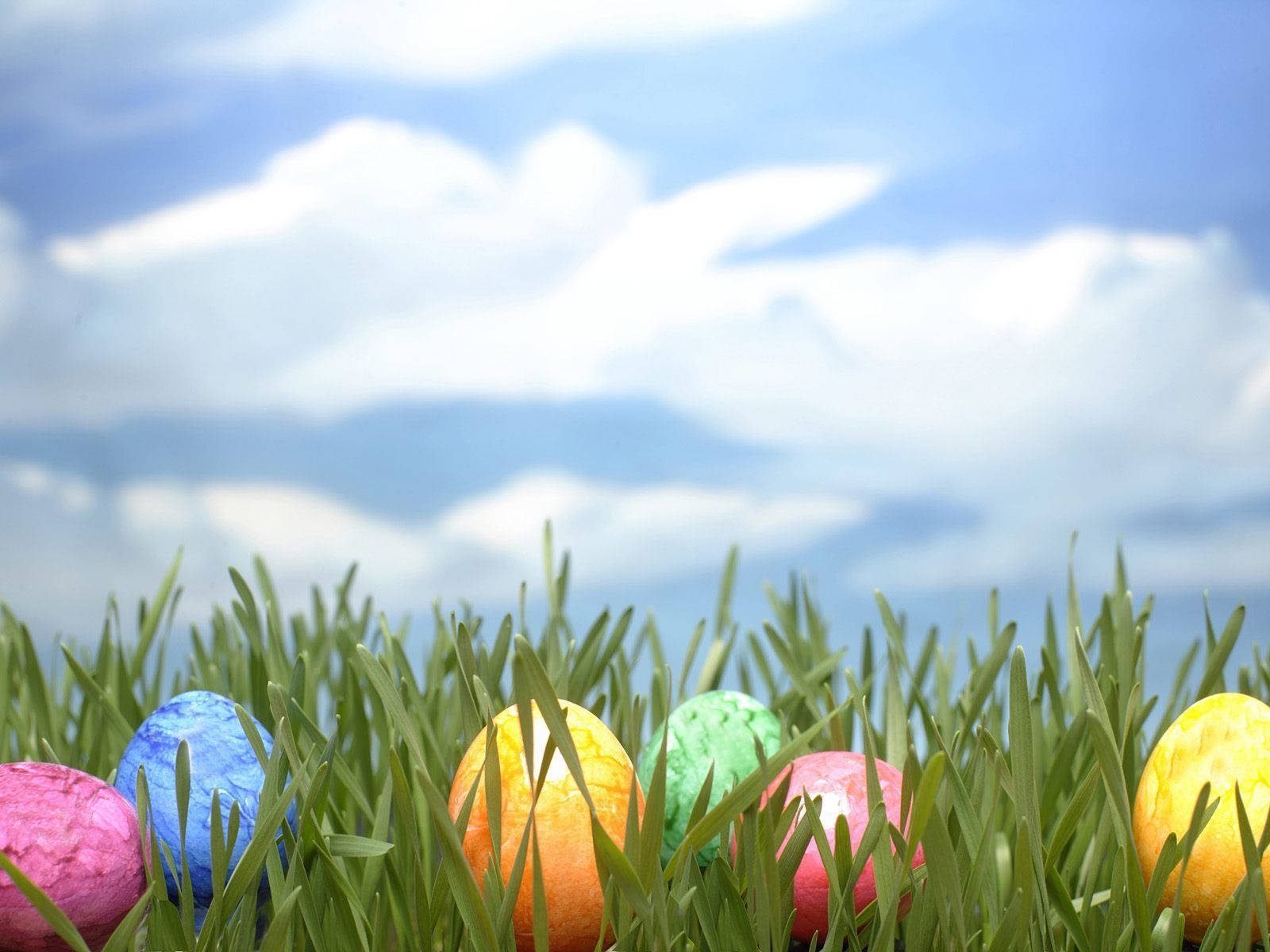 Easter Egg Hunt Wallpaper