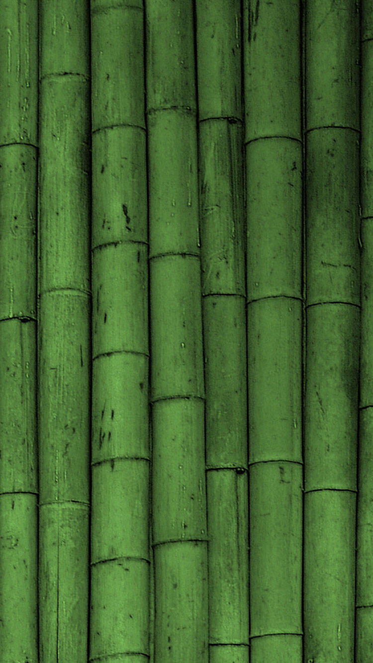 Eco-friendly Green Iphone Nestled In Bamboo Wall Wallpaper