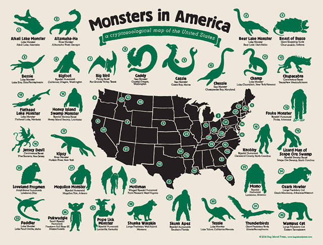 Educational Dinosaur Chart Wallpaper