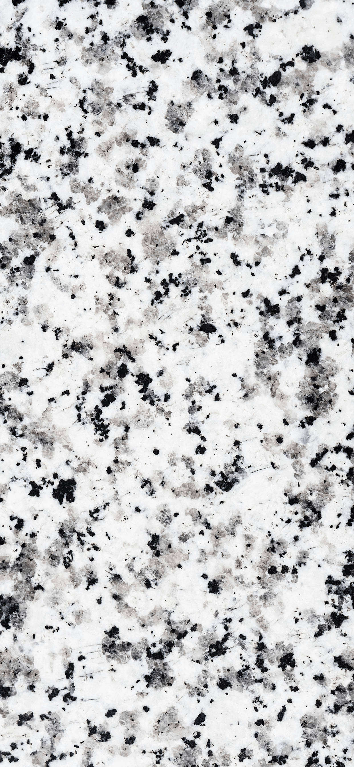 Elegant Dalmatian Black And White Marble Iphone Wallpaper Wallpaper