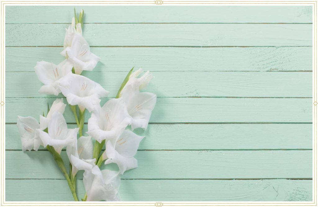 Elegant Gladiolus Flowers Wallpaper