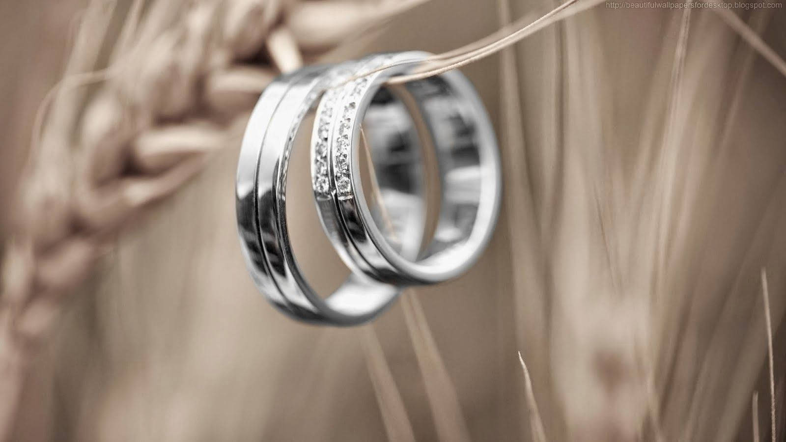 Elegant Silver Wedding Rings Wallpaper