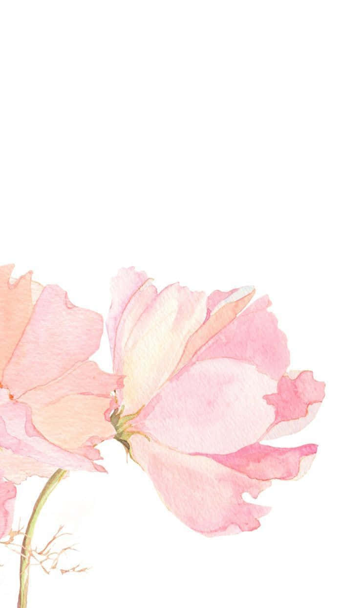 Embrace The Blooming Beauty Of Pink Floral Wallpaper