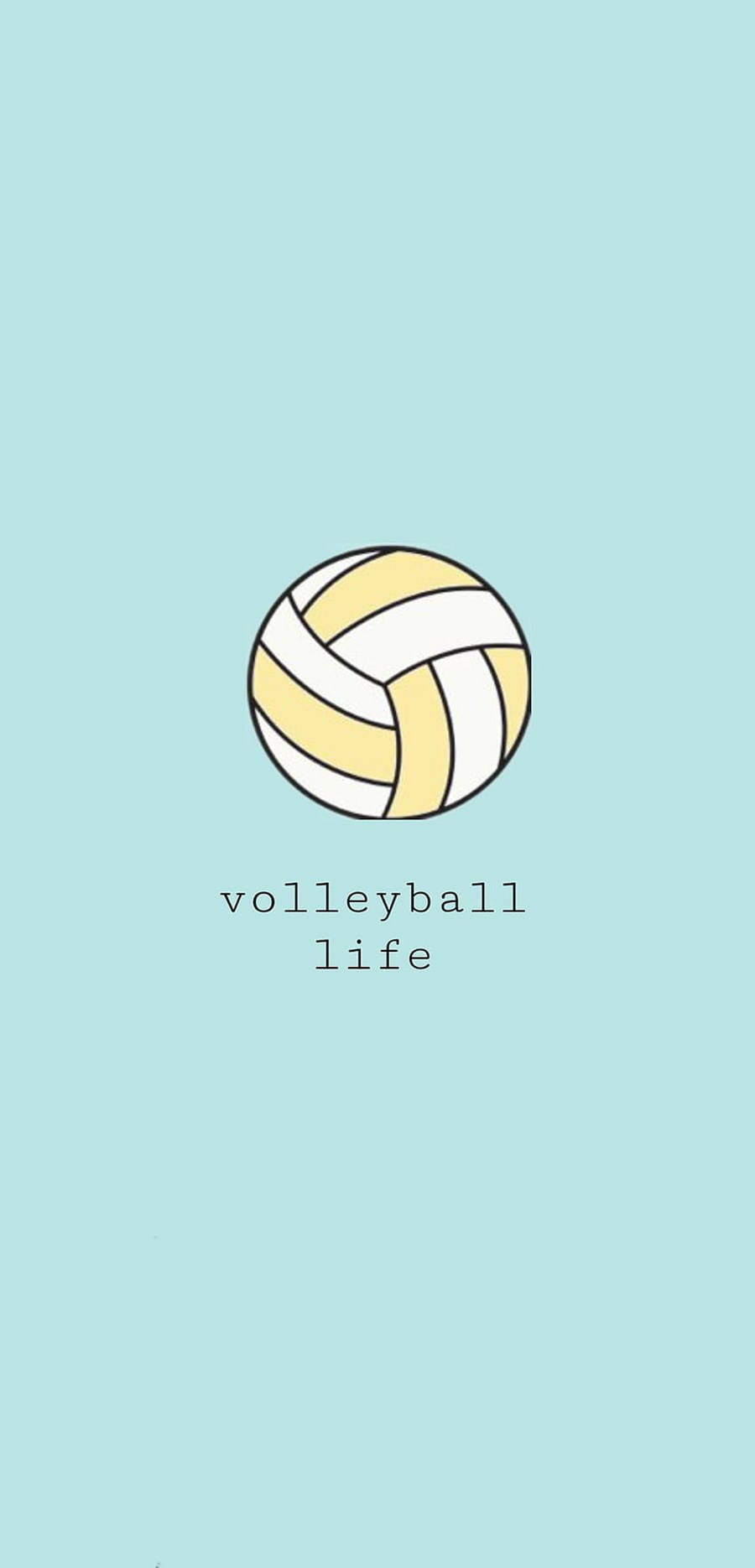 Embracing The Volleyball Aesthetic Wallpaper