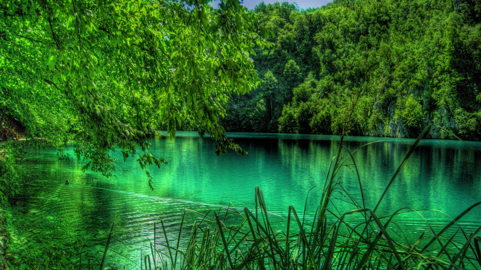 Emerald Green Lake And Forest Wallpaper