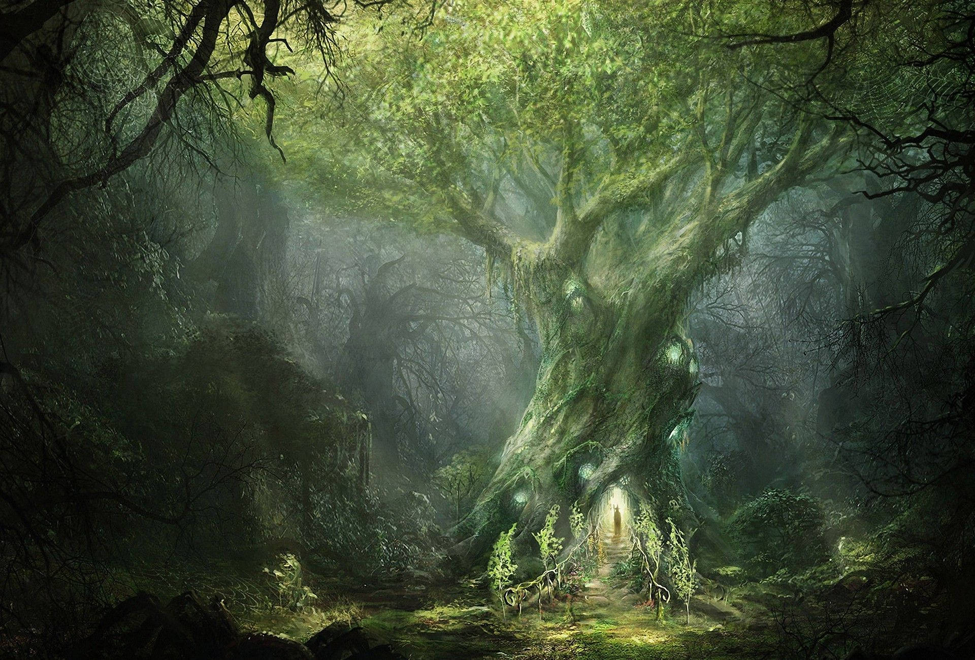Enchanted Forest Old Giant Tree Wallpaper