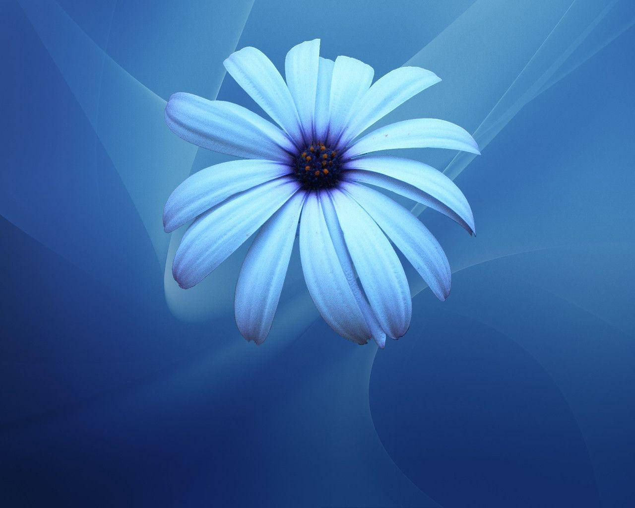 Enchanting Blue Flower Accentuated On Abstract Backdrop Wallpaper