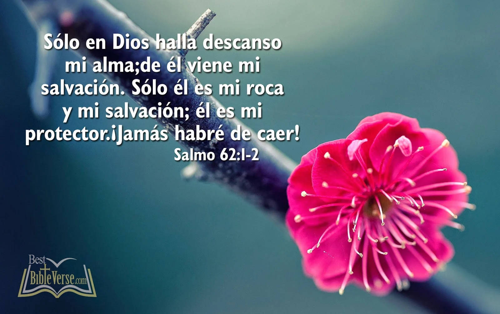 English To Spanish Psalm 62 Wallpaper