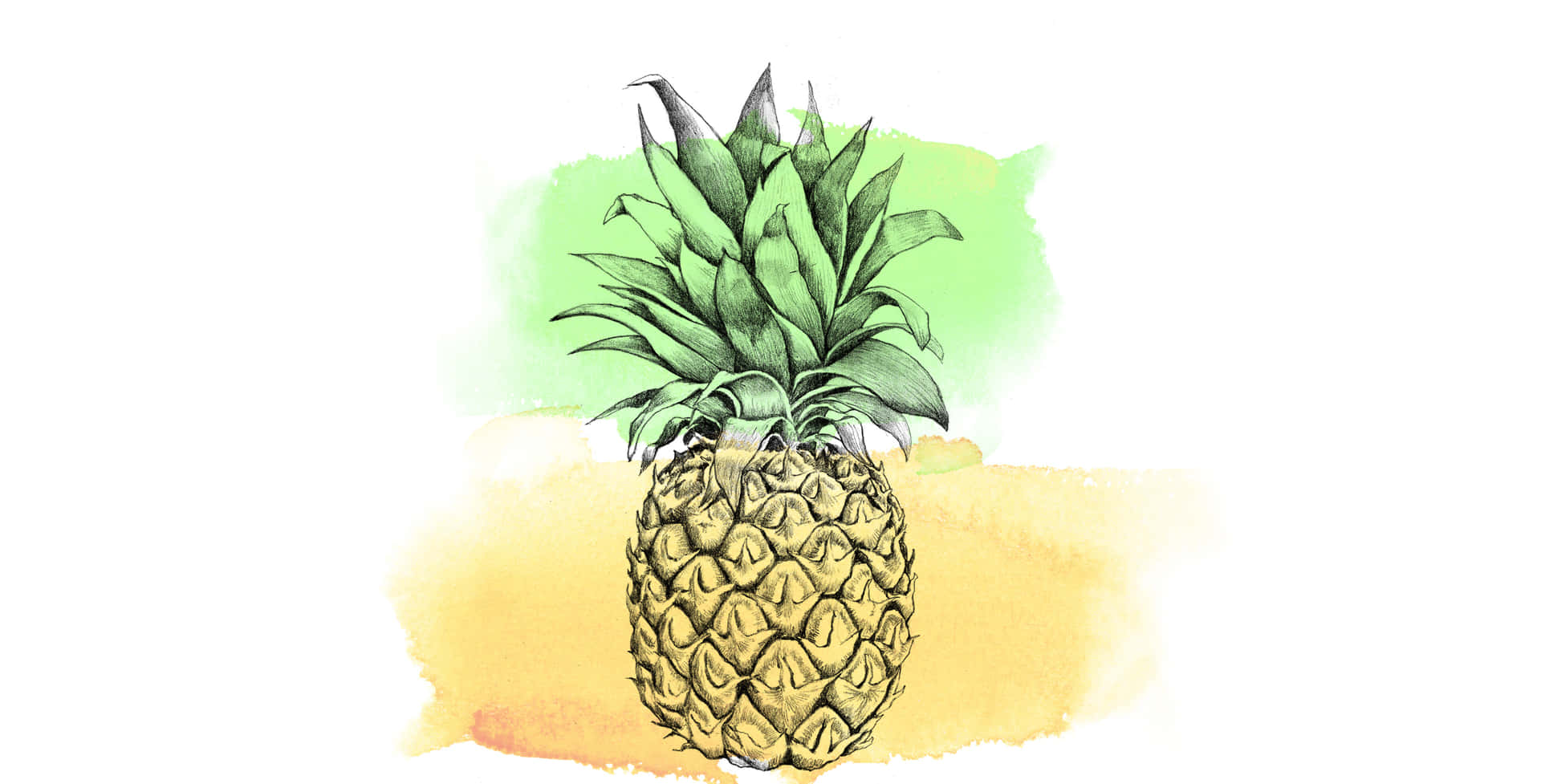 Enjoy A Sweet Desktop Experience With Pineapple Wallpaper