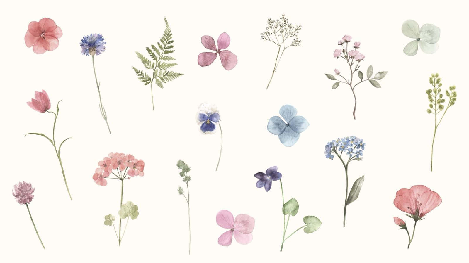 Enjoy Nature In Style With Spring Aesthetic Desktop Wallpaper Wallpaper