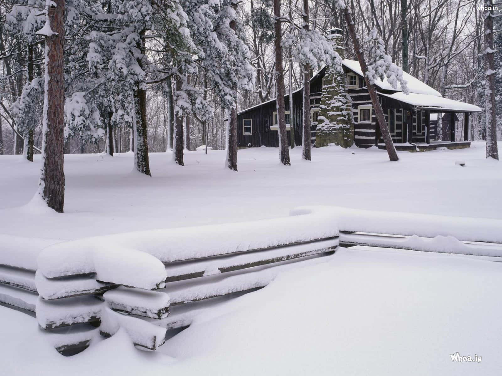 Enjoy The Beauty Of A Winter Night With A Snowfall Wallpaper