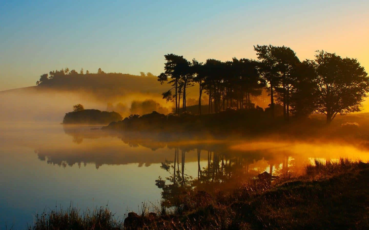Enjoy The Beauty Of Nature Wallpaper