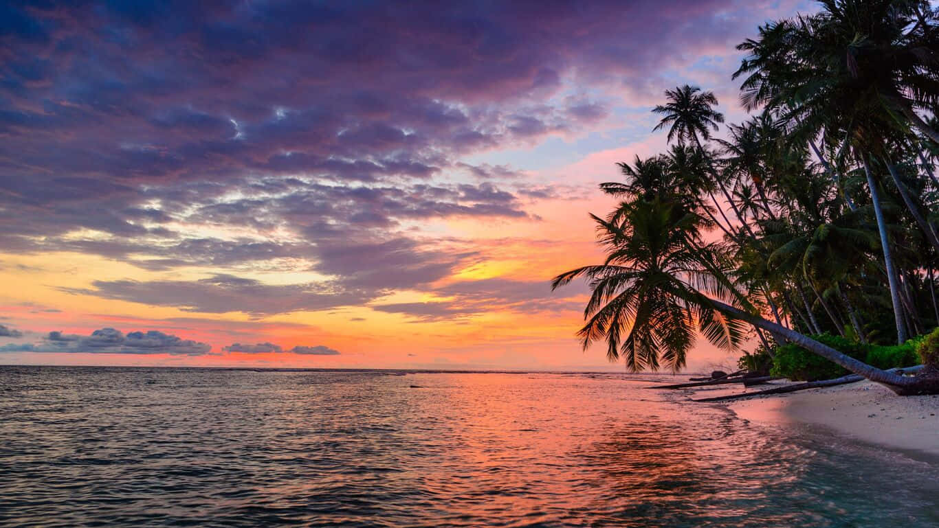 Enjoy The Calming View Of A Tranquil Hawaiian Beach Wallpaper