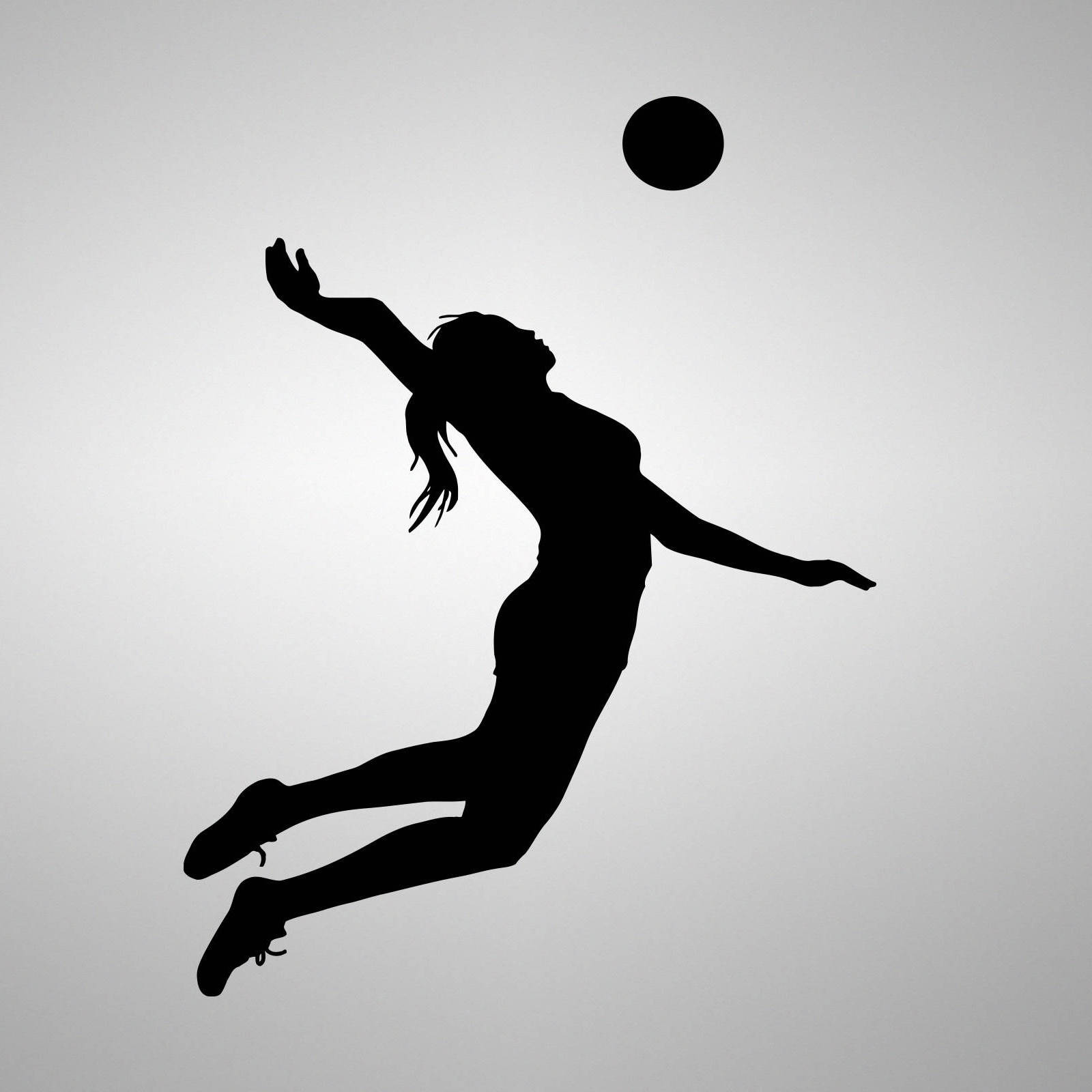 Enjoy The Game With Volleyball Laptop Wallpaper