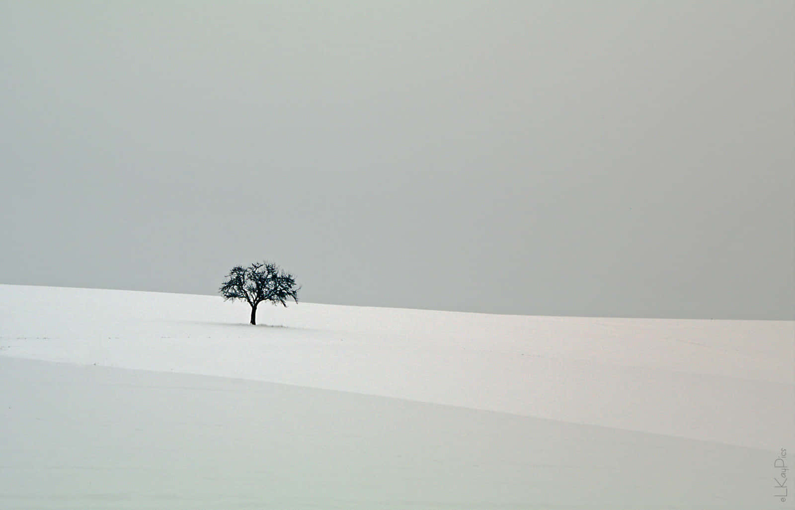 Enjoy The Serene Beauty Of A Peaceful Winter Wallpaper