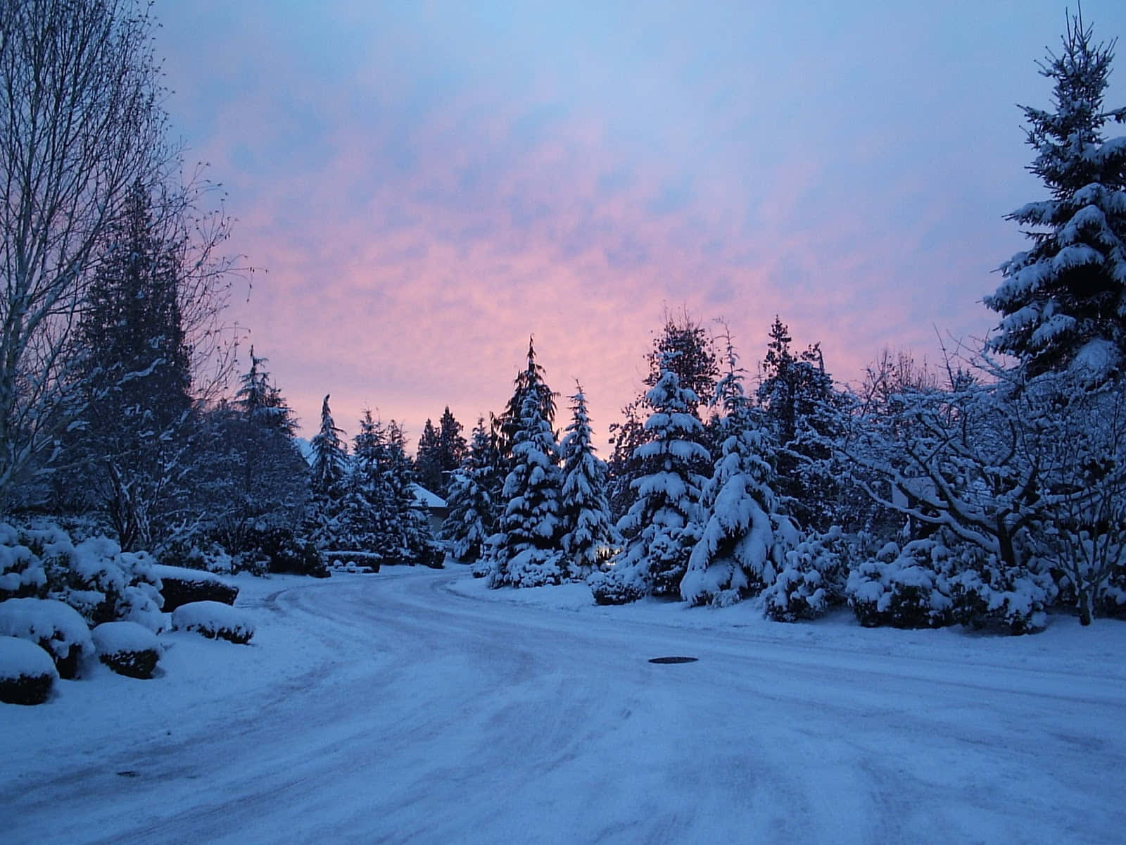 Enjoy The Winter Wonderland Wallpaper