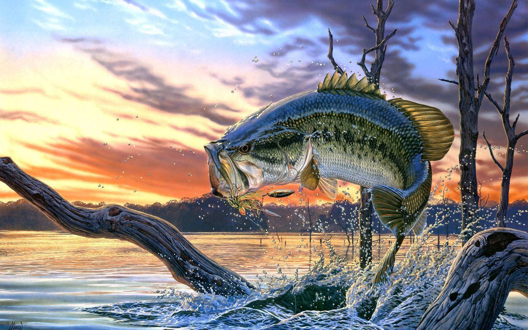 Enjoying A Day Of Bass Fishing Wallpaper