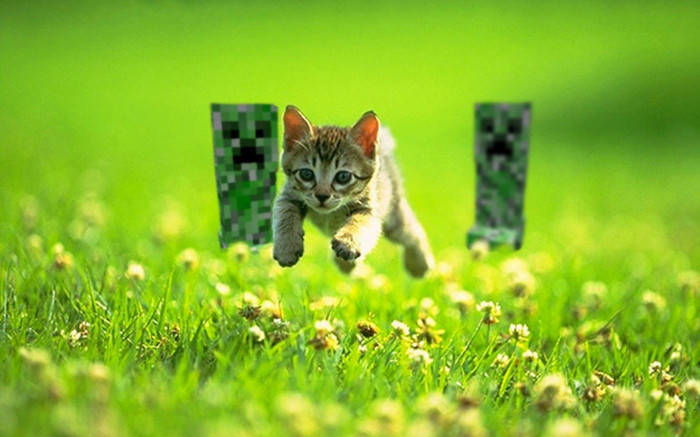 Epic Minecraft Kitten Chased By Creepers Wallpaper