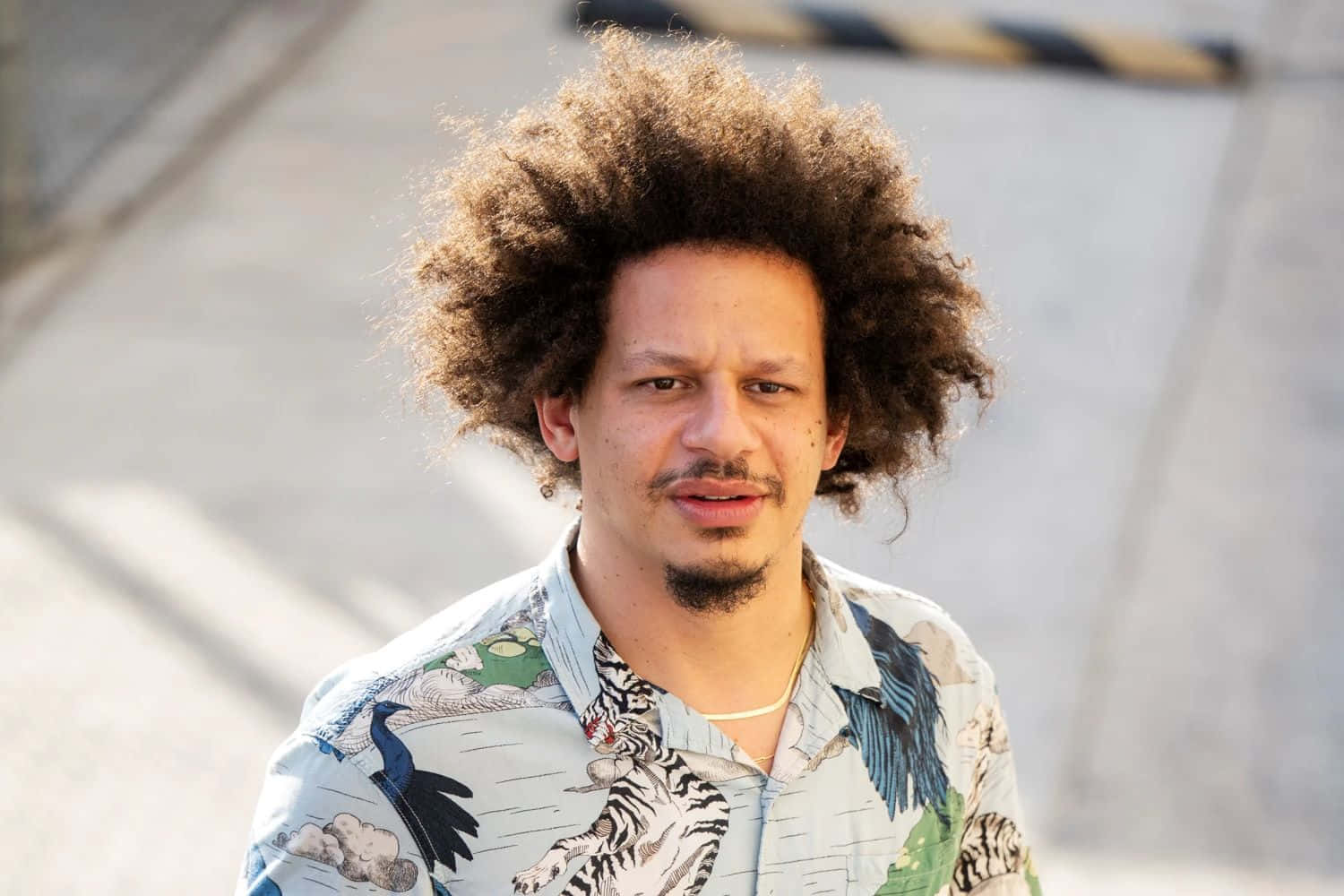 Eric Andre Casual Outdoor Portrait Wallpaper