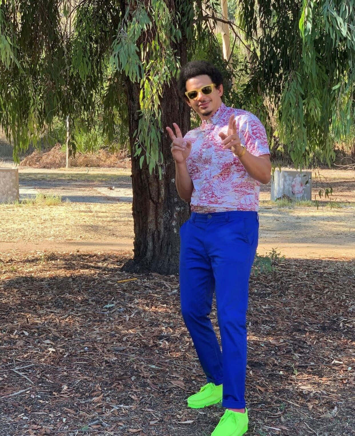 Eric Andre_ Peace Sign Outdoors Wallpaper