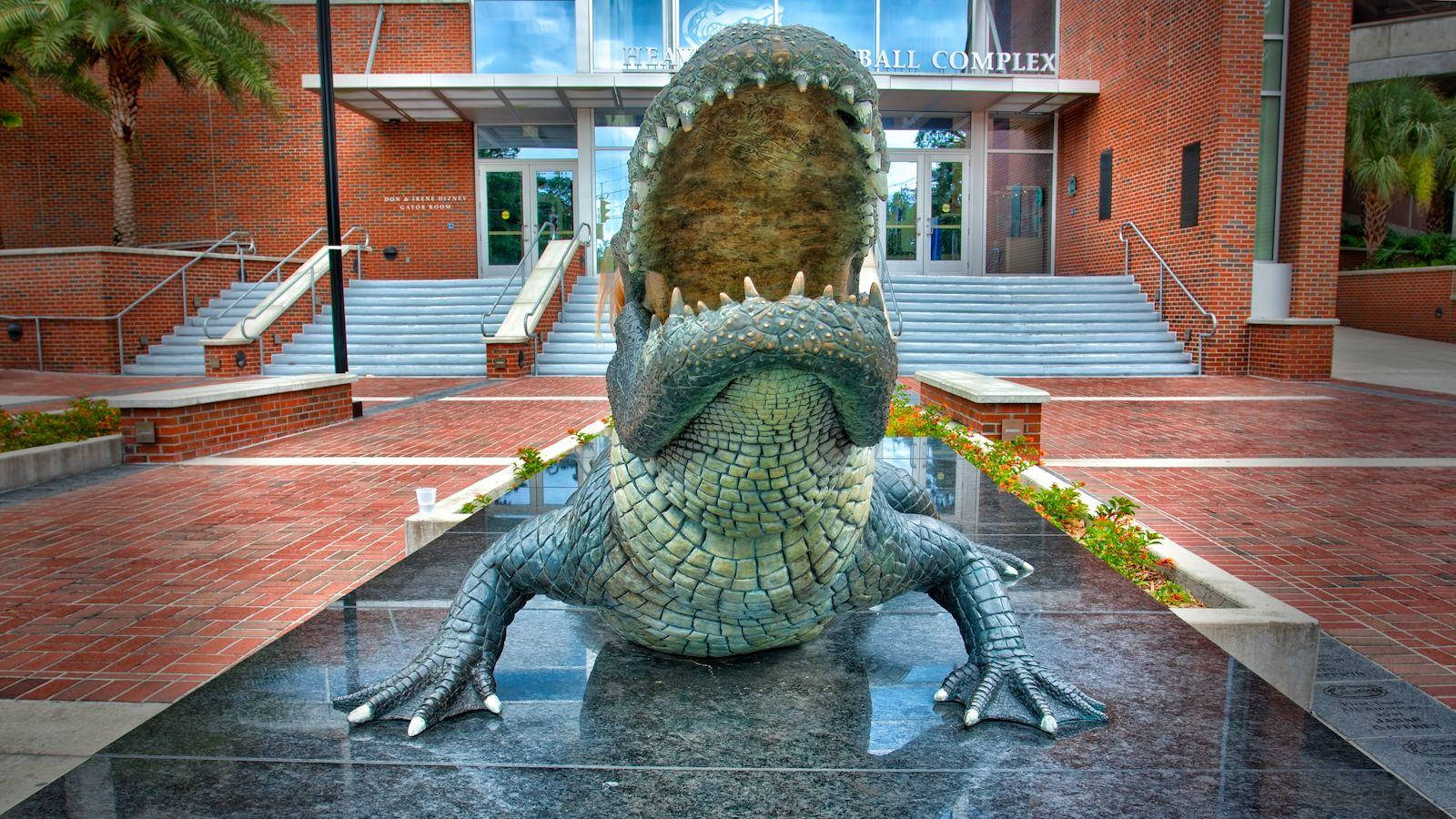 Esteemed Gator Statue At The University Of Florida Wallpaper