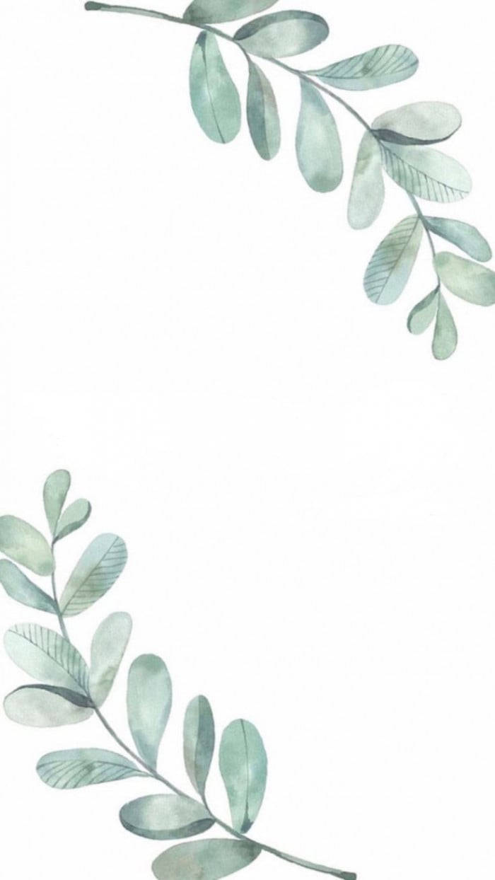 Eucalyptus Opposite Painting Wallpaper