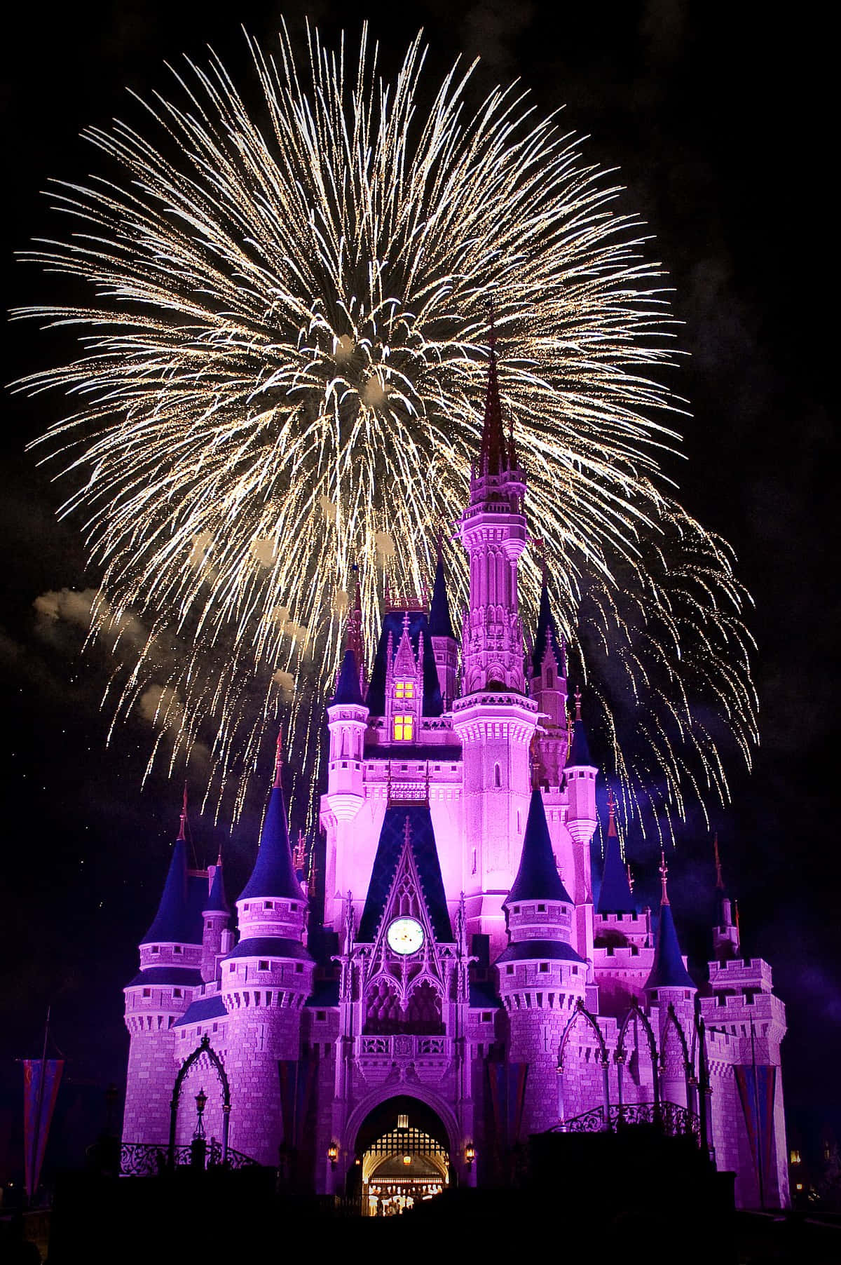 Experience A Magical Adventure At Disney World! Wallpaper