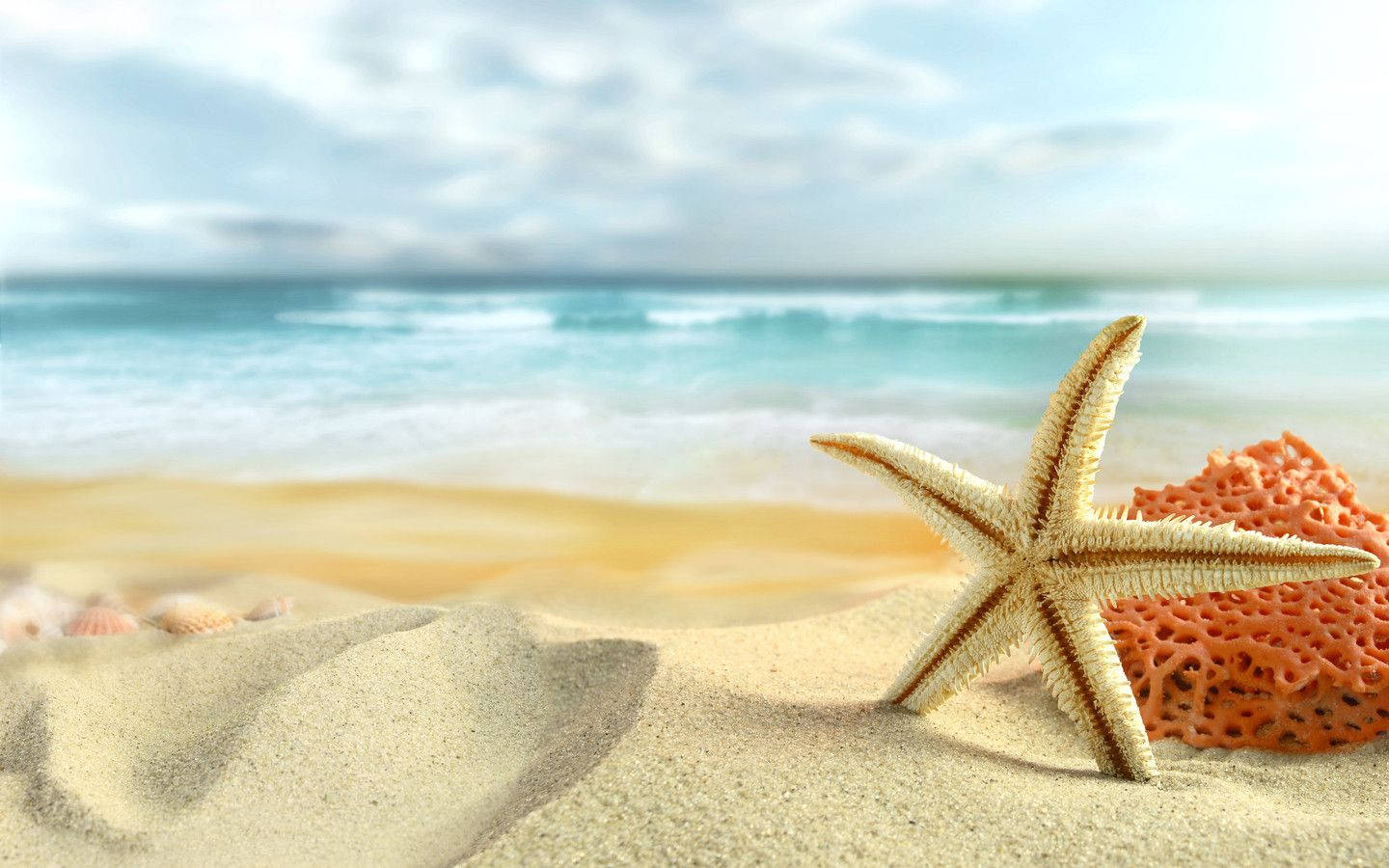 Experience The Excitement Of Summer On A Beach Wallpaper