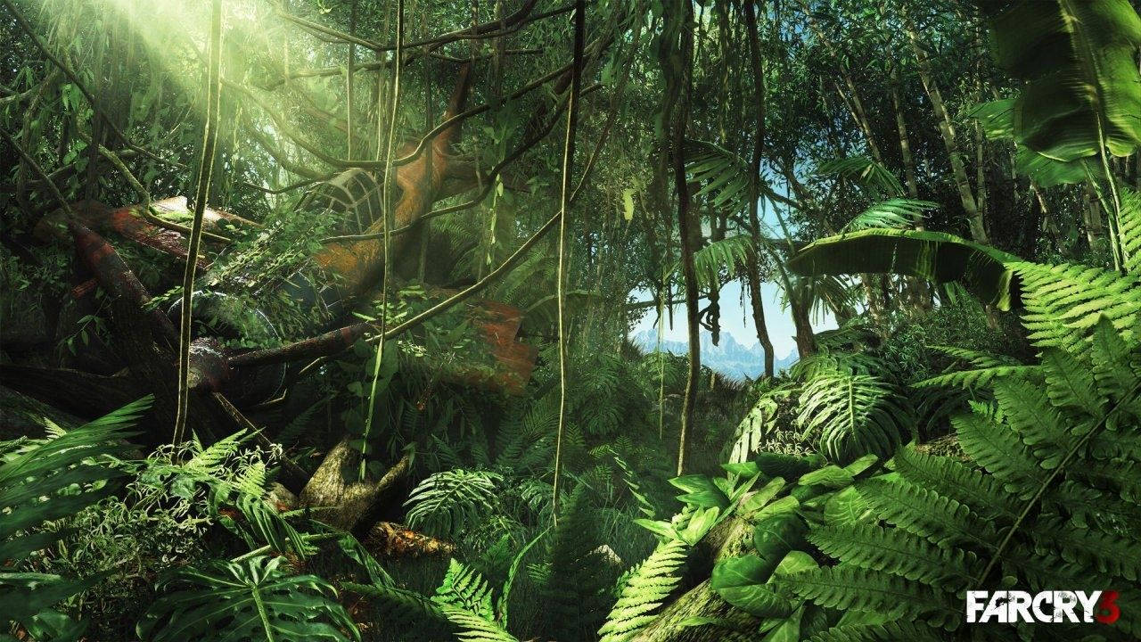 Explore A Stunning Jungle In Far Cry 3 Game Wallpaper