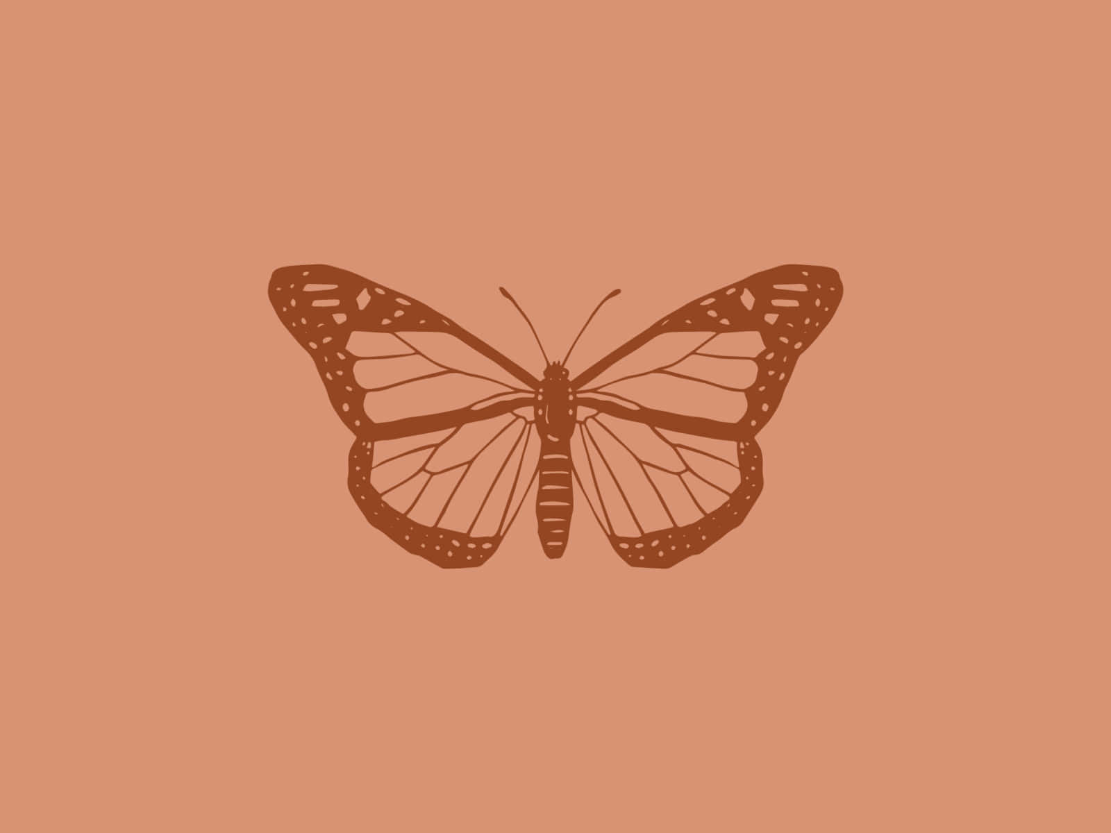Explore The Butterfly Effect With Your Own Laptop Wallpaper