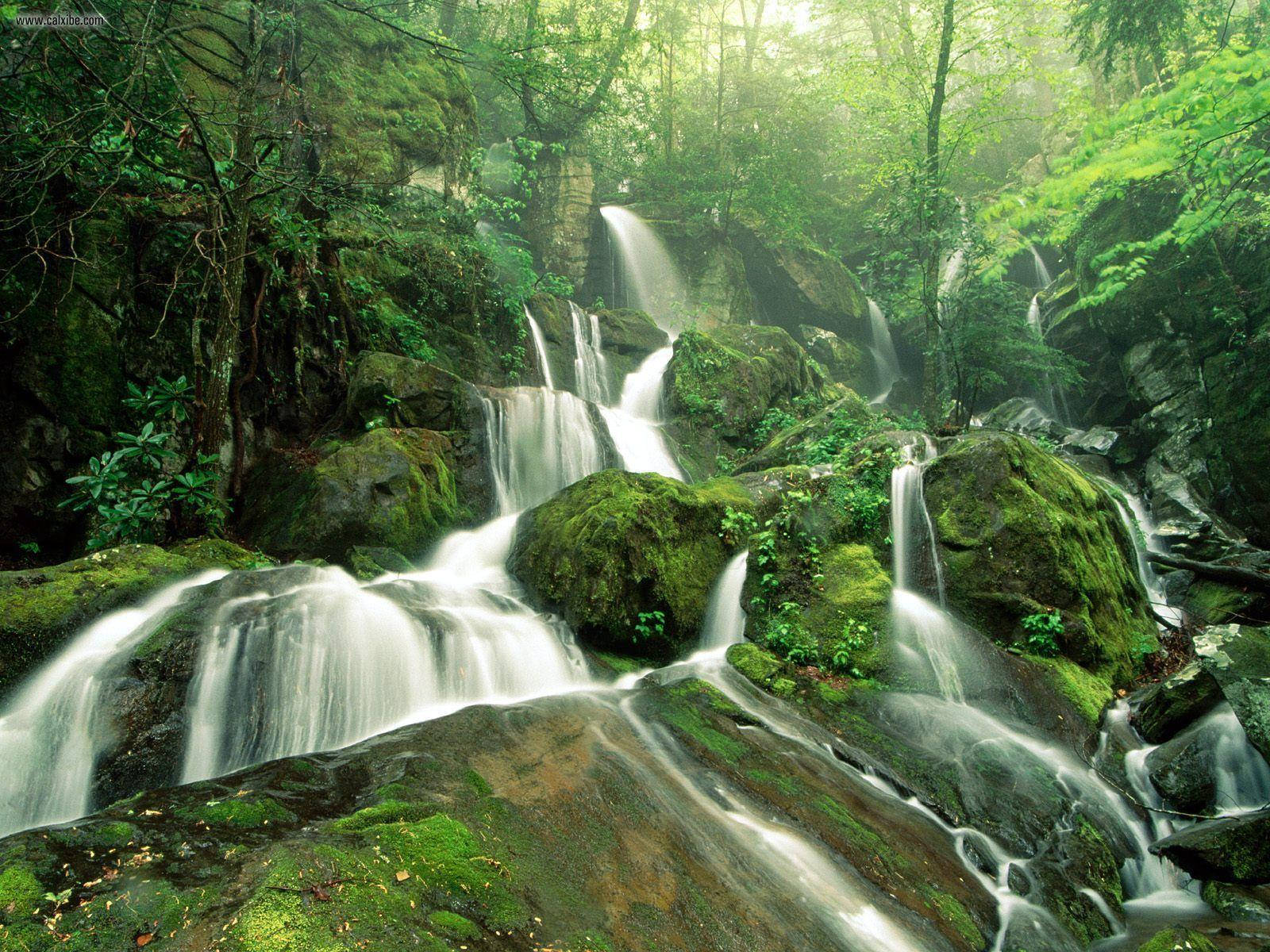 Explore The Magnificent Great Smoky Mountains Wallpaper