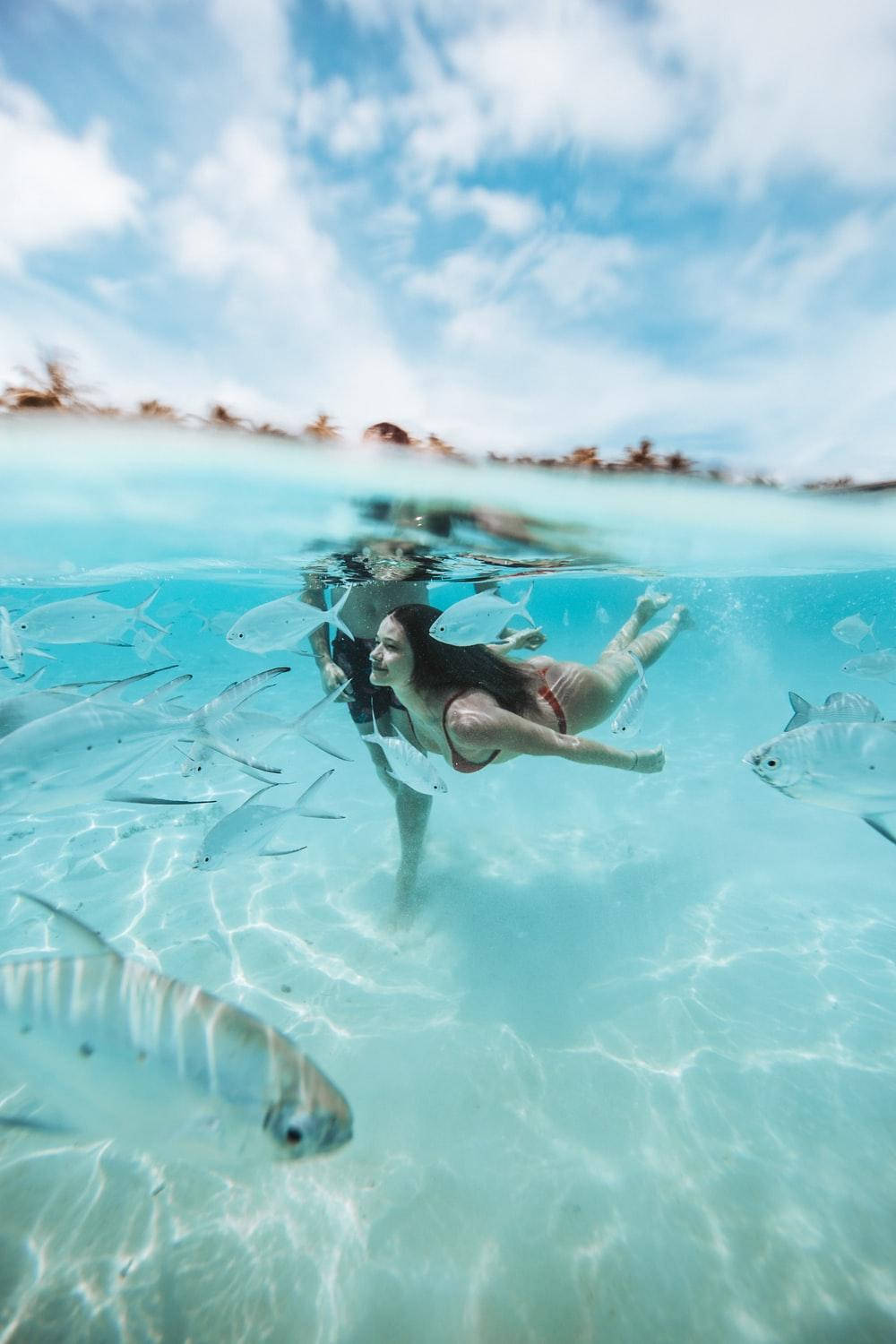 Exploring The Depths - Aesthetic Teal Underwater Scene Wallpaper