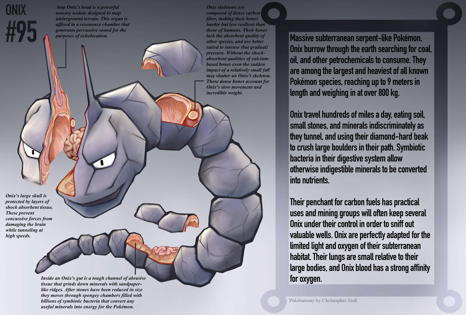 Exquisite Onix Illustrated Poster Wallpaper