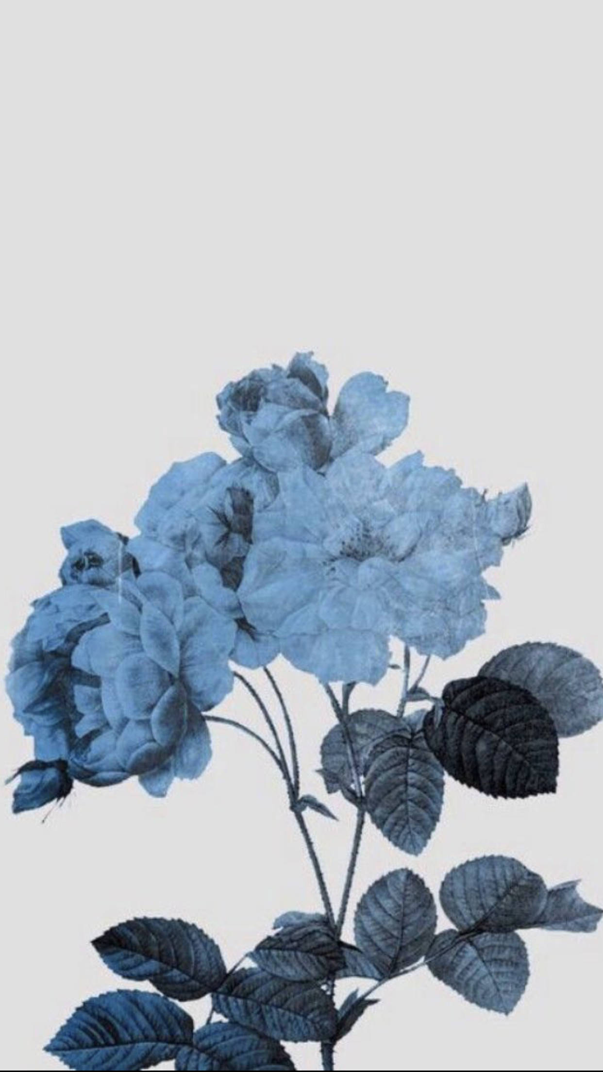Faded Blue Flowers - An Aesthetic Pinterest Masterpiece Wallpaper